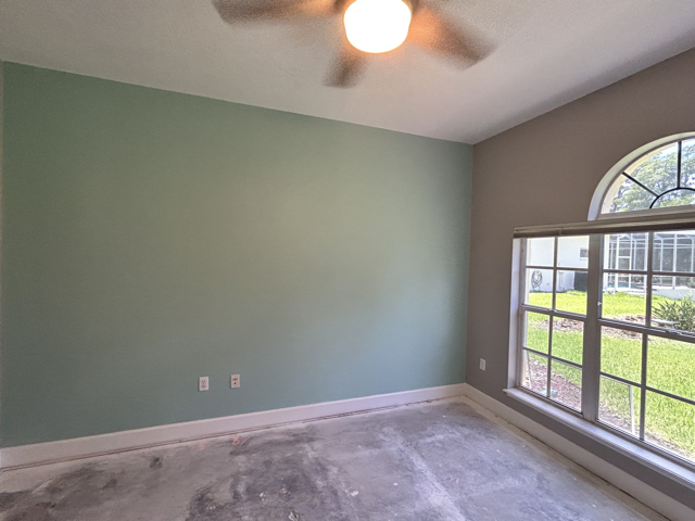 Accent Wall, Trim, Walls, and Ceiling Paint 