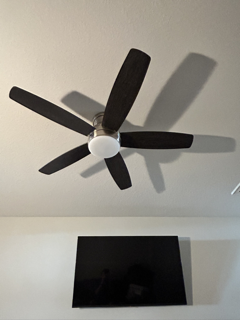 TV Mount and Ceiling Fan Install