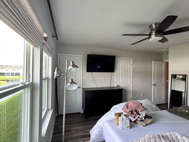 TV Mount and Ceiling Fan Install