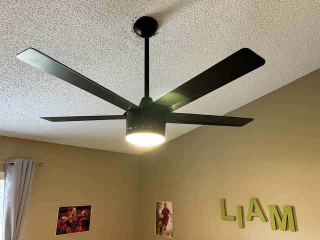Ceiling Fan Install
