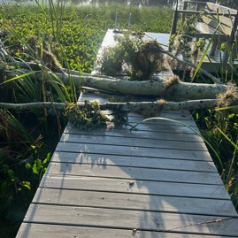 image1.jpeg