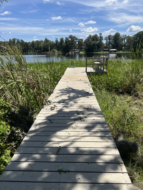 Tree And Deck Repair After