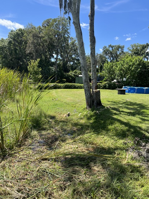 Tree And Deck Repair After