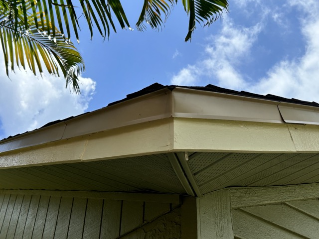 Soffit Trim Re-Paint