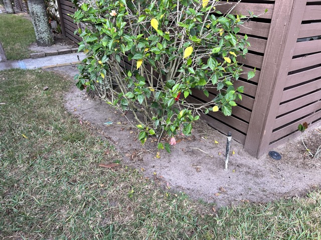 Mulch Before