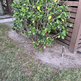 IMG-0312.jpg